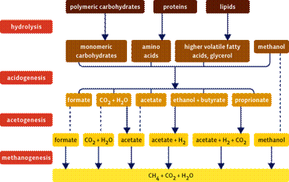  anaerobic system and the Schematic representation of the methane fermentation